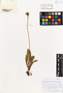 SW_BNB_s3020-01265_IMG-0000000001