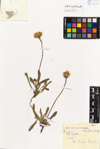 SW_BNB_s3020-01266_IMG-0000000001