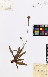SW_BNB_s3020-01267_IMG-0000000001