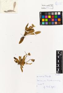 SW_BNB_s3020-01288_IMG-0000000001