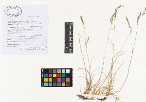 SW_BNB_s3040-00039_IMG-0000000001