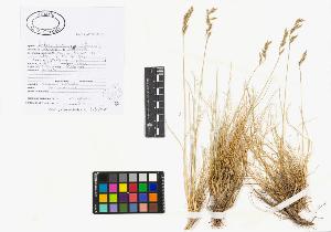 SW_BNB_s3040-00045_IMG-0000000001