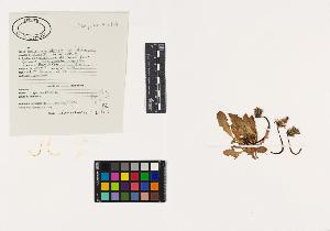 SW_BNB_s3040-00049_IMG-0000000001