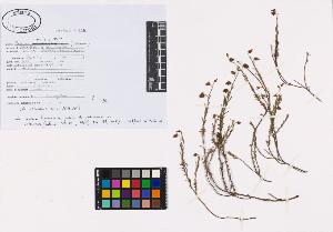 SW_BNB_s3040-00056_IMG-0000000001