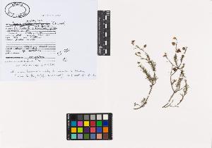 SW_BNB_s3040-00057_IMG-0000000001