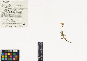 SW_BNB_s3040-00079_IMG-0000000001