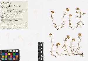 SW_BNB_s3040-00080_IMG-0000000001