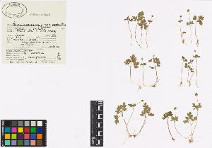 SW_BNB_s3040-00134_IMG-0000000001