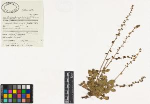 SW_BNB_s3040-00141_IMG-0000000001
