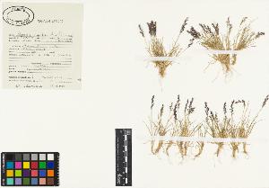 SW_BNB_s3040-00152_IMG-0000000001