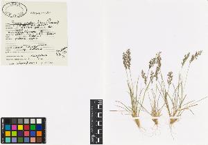 SW_BNB_s3040-00156_IMG-0000000001