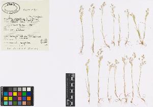 SW_BNB_s3040-00181_IMG-0000000001