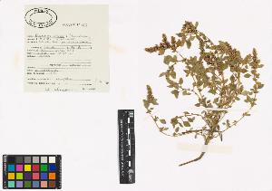 SW_BNB_s3040-00191_IMG-0000000001