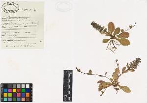 SW_BNB_s3040-00196_IMG-0000000001