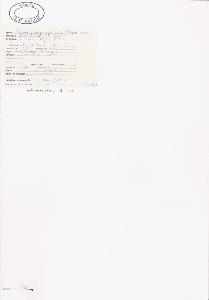 SW_BNB_s3040-00236_IMG-0000000001