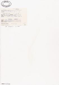 SW_BNB_s3040-00264_IMG-0000000001