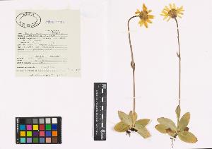 SW_BNB_s3040-00300_IMG-0000000001