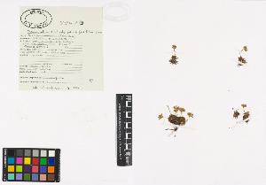 SW_BNB_s3040-00313_IMG-0000000001