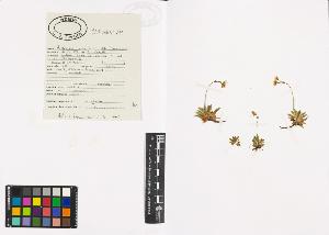 SW_BNB_s3040-00317_IMG-0000000001
