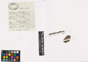 SW_BNB_s3040-00318_IMG-0000000001
