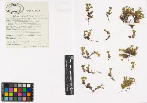 SW_BNB_s3040-00321_IMG-0000000001