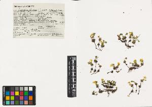 SW_BNB_s3040-00322_IMG-0000000001