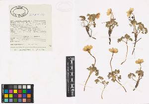 SW_BNB_s3040-00324_IMG-0000000001