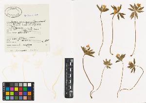 SW_BNB_s3040-00333_IMG-0000000001