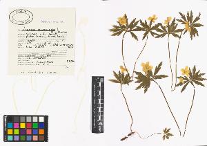 SW_BNB_s3040-00334_IMG-0000000001