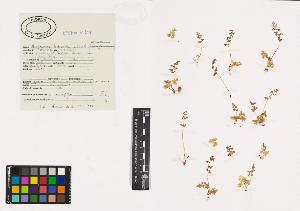 SW_BNB_s3040-00337_IMG-0000000001
