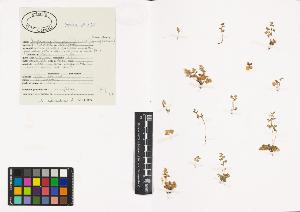 SW_BNB_s3040-00338_IMG-0000000001
