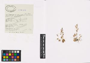 SW_BNB_s3040-00339_IMG-0000000001