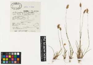SW_BNB_s3040-00356_IMG-0000000001