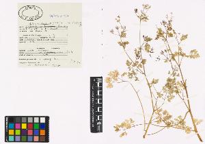SW_BNB_s3040-00361_IMG-0000000001