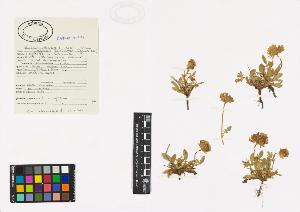 SW_BNB_s3040-00375_IMG-0000000001
