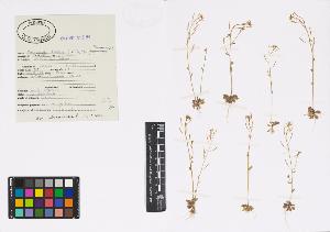 SW_BNB_s3040-00397_IMG-0000000001