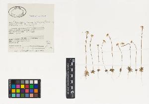 SW_BNB_s3040-00399_IMG-0000000001