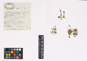 SW_BNB_s3040-00403_IMG-0000000001