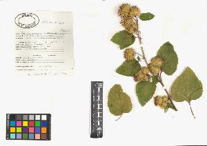 SW_BNB_s3040-00443_IMG-0000000001