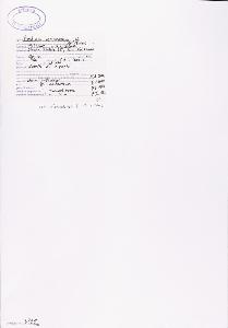 SW_BNB_s3040-00445_IMG-0000000001