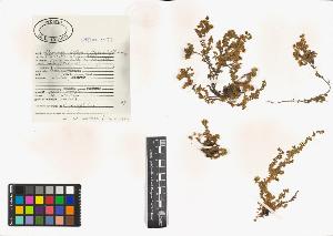 SW_BNB_s3040-00447_IMG-0000000001