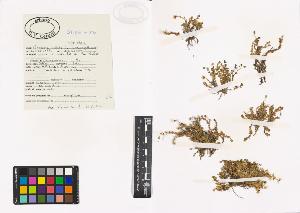 SW_BNB_s3040-00450_IMG-0000000001
