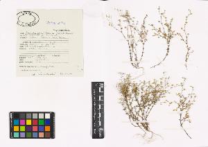 SW_BNB_s3040-00453_IMG-0000000001
