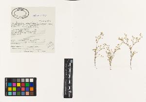 SW_BNB_s3040-00454_IMG-0000000001