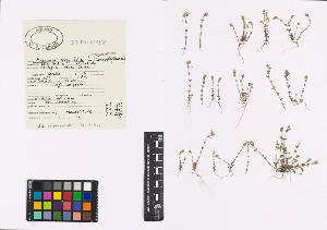 SW_BNB_s3040-00456_IMG-0000000001