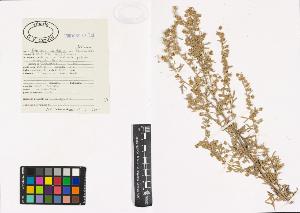 SW_BNB_s3040-00468_IMG-0000000001