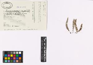 SW_BNB_s3040-00481_IMG-0000000001