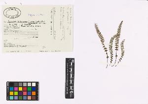 SW_BNB_s3040-00484_IMG-0000000001