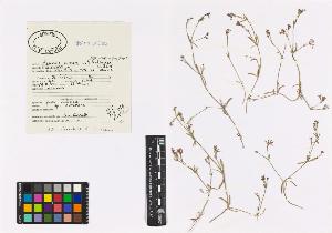 SW_BNB_s3040-00514_IMG-0000000001
