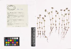 SW_BNB_s3040-00515_IMG-0000000001